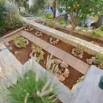 Tou Pappou פילוס